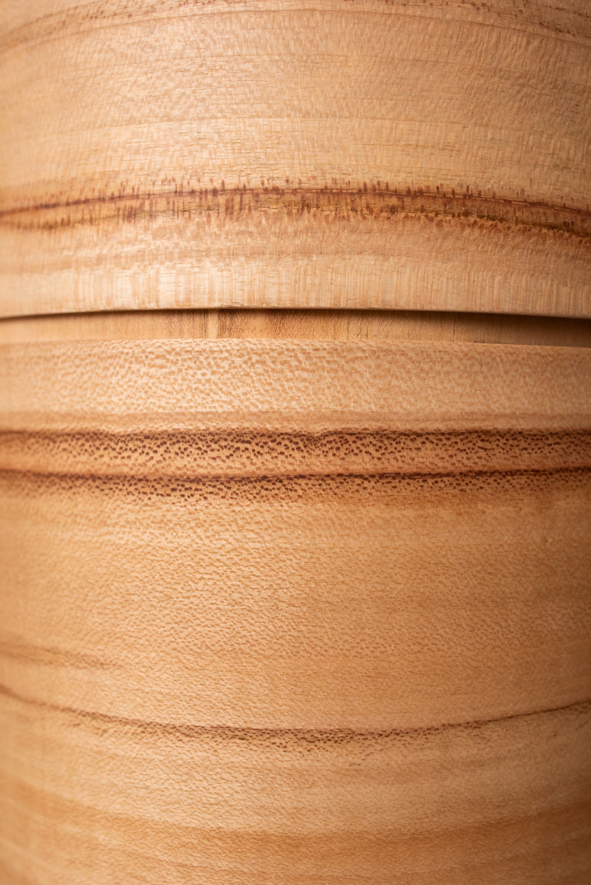 Detailbild Holzurne Hoyah Ahorn, Ahornholzmaserung