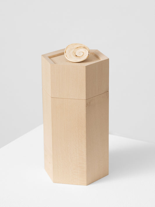 Sternenkinder Urne Fides, mit Muschel geschmückt