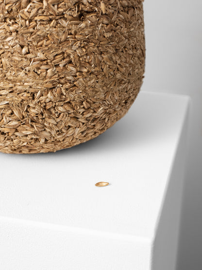 Grano